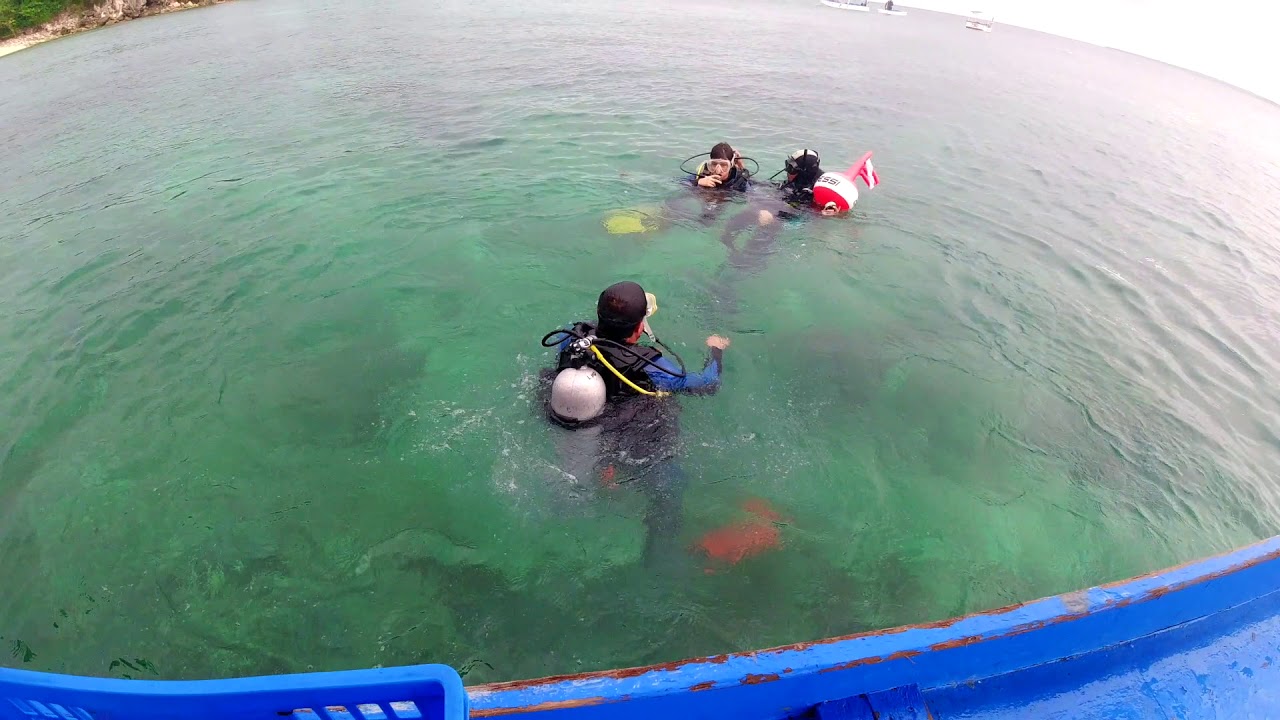 Diving In Malapascua, Philippines - YouTube