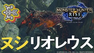 重大事変ヌシ・リオレウス（弓）動画【MHRise】