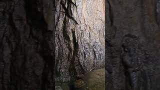 Otaki Limestone Caves - 30m Waterfall