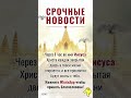 молитва верую вераправославная пресвятаябогородица богородицадева православие shortvideo