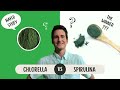 a chlorella vs spirulina study which one was better for nafld