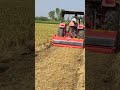 italian maschio mulcher terminator in paddy straw management.. doaba agro hoshiarpur