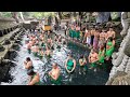 balinese ritual of purification 🙏🏼 tirta empul bali s sacred temple holy spring