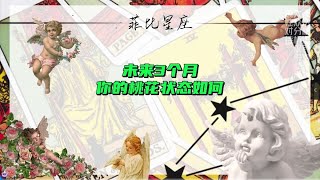 未来三个月你的桃花状态如何？#塔罗 #情感塔罗 #爱情 #情感