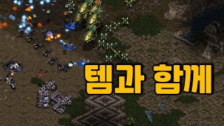 캐리어 vs 벙덥 3탱 찌르고 노양심 3컴 업테란