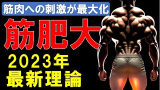 【筋トレ科学】筋肥大を最大化させる2023年最新理論　~筋肉の刺激を最大化させる科学~