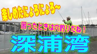 釣り動画ロマンを求めて 362釣目 （深浦湾）