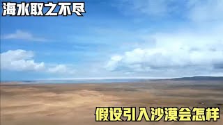 海水取之不尽，假设引入沙漠会怎样？看看国外引入的“后果”