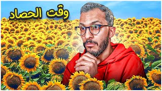 محاكي المزارع #29 | وقت حصاد المزرعة الكبيرة!