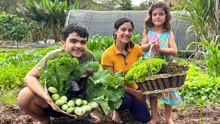 Primeira horta das crianças com receita especial da Gegê Lifestyle, especial dia das crianças