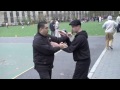 sifu james cama u0026 student mantis soft hand