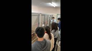 【動物飼育管理学科2年生】新潟県動物愛護センター見学　動物専門学校 トリマー 動物看護師 アクアリウム 動物のお仕事