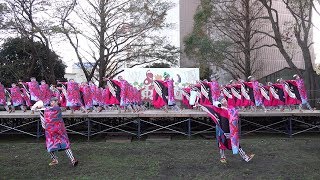 とらっくよさこい(ちふれ) @よさこい東海道(中央公園演舞場/前日祭) 2018-11-10T15:48