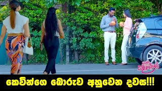 Paata Kurullo - පාට කුරුල්ලෝ | Episode 167 | 2024-12-30 | Hiru TV