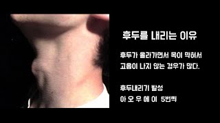 성악발성꿀팁 | 후두를 내리는 이유