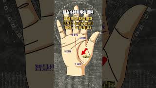 #命理 #palmistry #八字 #手相