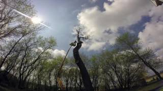 Tree Felling Compilation Spike's Tree Service