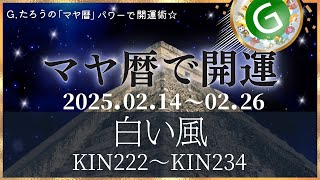 マヤ暦で開運！《白い風》の１３日間　Kin222~Kin234