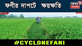 ফণীর দাপটে বিভিন্ন জেলায় মাঠেই নষ্ট ধান , গাছ থেকে পড়ে নষ্ট আম , লিচু