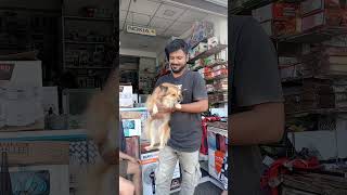 කෑවාද බං  😂#leek #dog #viral #trending #shorts