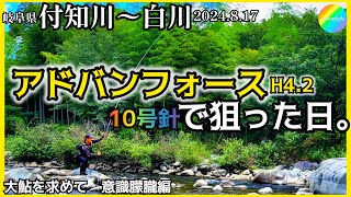 【鮎釣り】付知川、白川（岐阜県）｜2024.8.17（土）【友釣り】