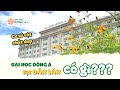 Khám phá Đại học Đông Á phân hiệu Đắk Lắk | Cơ sở vật chất xịn sò tại Tây Nguyên