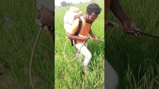 రాదురా ఈ విజయం #farming