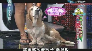 2014.08.05真的了不起part2　有狗強！天賦異稟衝浪神犬