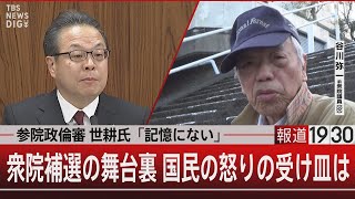 参院政倫審 世耕氏「記憶にない」／衆院補選の舞台裏 国民の怒りの受け皿は【3月14日（木） #報道1930】｜TBS NEWS DIG