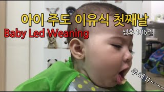 [🇪🇸🇰🇷국제커플] 루시아 아이 주도 이유식 도전하다 (생후 186일)/ LUCIA CHALLENGE!!!  BLW !BABY LED WEANING