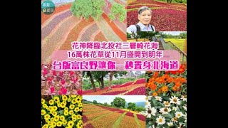 2021北投社三層崎公園花海，16萬盆繽紛花神降臨五彩波浪渲染北投天際線！