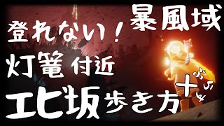 🦐【暴風域未経験非推奨！ネタバレ】登れない！灯篭付近 エビ坂歩き方！ ＋ぷらす！- sky星を紡ぐ子どもたち -  ゆめももch