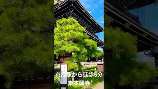 京都駅近くにある東本願寺を訪れました！とても大きく荘厳な雰囲気が漂います✨