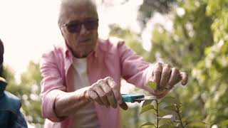 Award-Winning Ratchet Pruning Shears for Senior Gardeners With Arthritis \u0026 Weak Hands