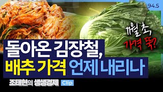 [생생경제] 돌아온 김장철, 배추 가격 언제 내리나_241028