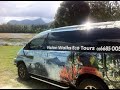 Business Connect | Vision Walks Eco Tours | Success story