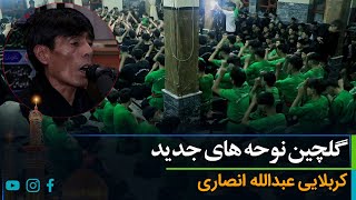 جدیدترین نوحه های عبدالله انصاری در محرم امسال