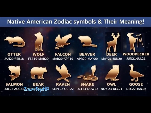 Native American Animal Spirits Meanings The Meaning Of The Dog As A