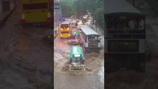 2016年 香港難得一見的黑雨影響 2