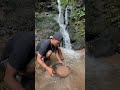 wow amazing get pure gold from manual panning under a waterfall. fypviralシ herigoldmining video.