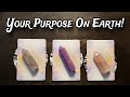 💜💫 Your Purpose On Earth! 🌟💜 Why Did You Come Here? Pick A Card Reading