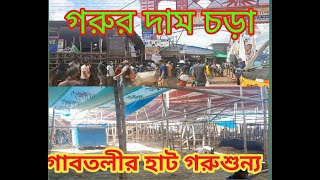 2020 কোরবানির/ গরুশূন্য গাবতলীর হাট 31 শে জুলাই শুক্রবার সকাল ১০টা গরুর দাম চড়া