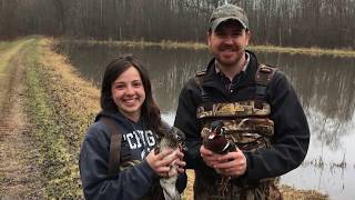 Understanding Wood Duck Population Dynamics in Wisconsin