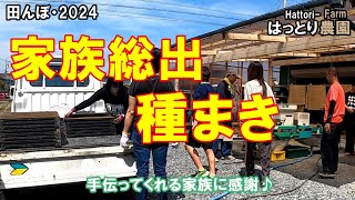 種まき　田んぼ・2024　20240413 水稲の反射シート出芽（太陽シート）・密苗