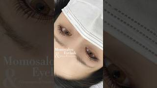 [털i모모언니] 플랫모CC더블시술|가지런하게연장하기|속눈썹연장|eyelashes