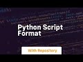 python script format