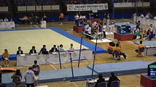 2019年IH 体操競技 女子 段違い平行棒 予選 1日目 3班9組