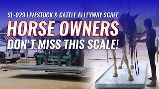 Farm Scale That Horse Owners Trust | SellEton Livestock Scale In Real Action!