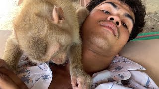 I'm Feeling Good!! Adorable Monkey Zueii Grooming My Chest And My Hair