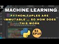 Python Tuples Are Immutable   So How Does THIS Work - S1 EP19